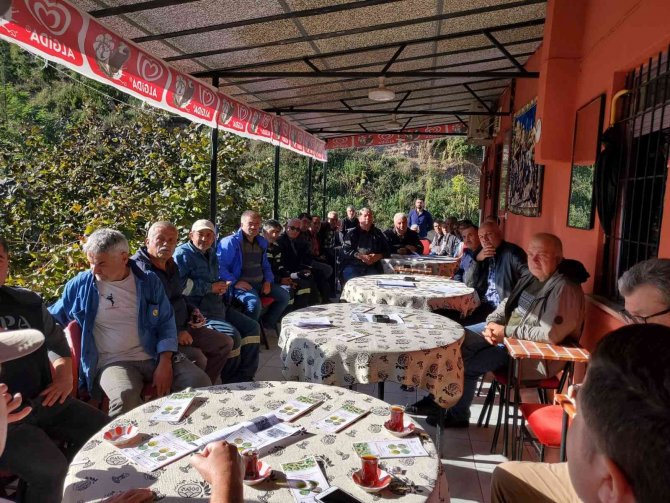 Kdz. Ereğli’de Fındıkta Verimi Artırma Eğitimleri Başladı