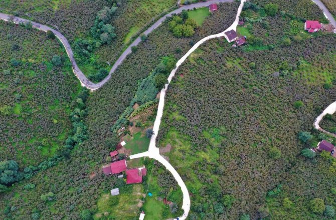 Başkan Tören: “Şehit Ailemizin Ve Dezavantajlı Vatandaşlarımızın Ulaşım Sorununu Çözüme Kavuşturduk”