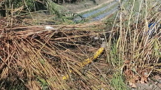 Tanker Yangınına Giden İtfaiyeciler Yanmakta Olan Kamışları Söndürdü
