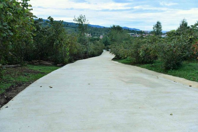 Başkan Tören: “Şehit Ailemizin Ve Dezavantajlı Vatandaşlarımızın Ulaşım Sorununu Çözüme Kavuşturduk”