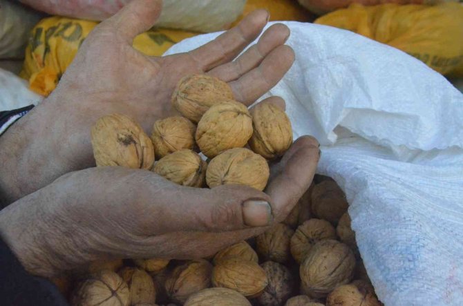 Başkan Arslan Pazarcı Esnafıyla Bir Araya Geldi