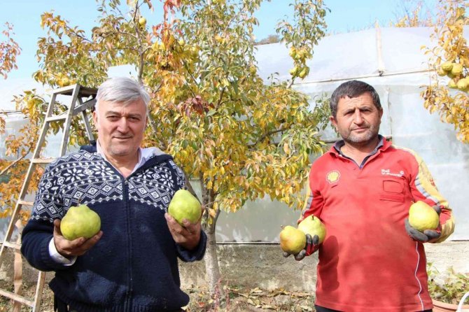 Çocukluk Hayali Gerçek Oldu, Yerleştiği Köyünde Bir İlki Gerçekleştirdi