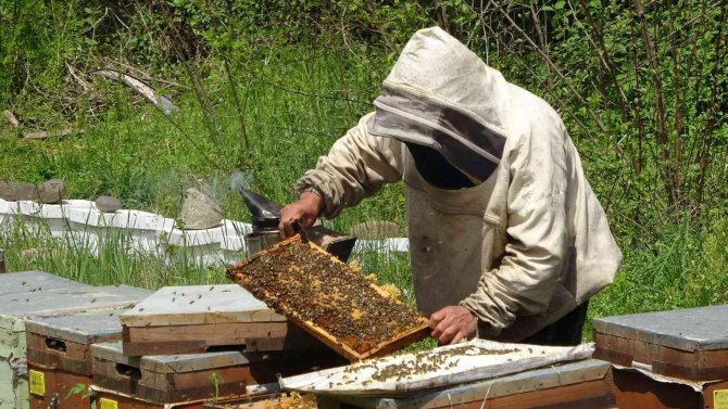 Çiftçi: “Sahte Ballar Arıcılık Sektörünü Tehlikeye Düşürüyor”