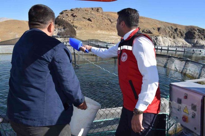 Kahramanmaraş, Alabalık Üretiminde Türkiye’de İkinci Sıraya Yükselecek