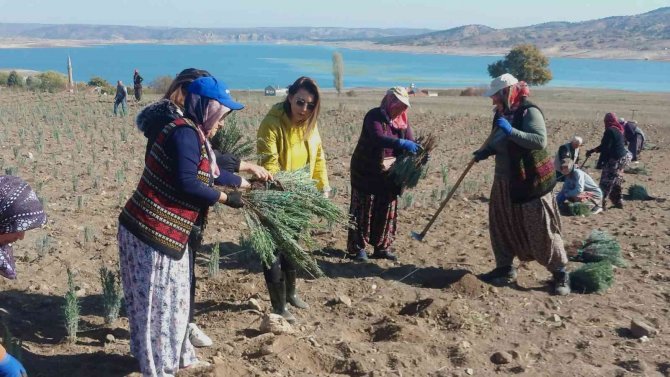 Merhum Babasının Hayalini Gerçekleştirdi