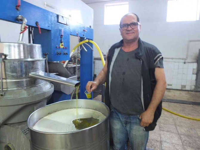 Zeytinyağını Renkli Cam Şişelerde Saklayın