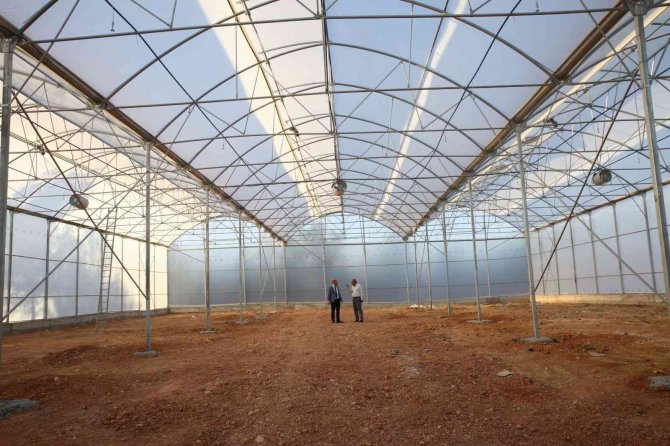 Şehir Ekonomisine 900 Bin Fidanlık Katkı