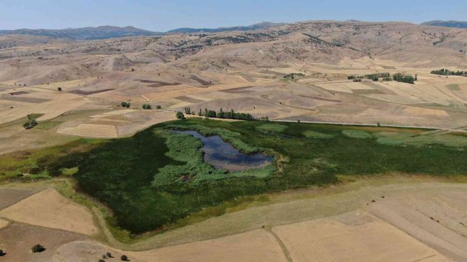 Mahkeme Kararını Verdi, Kaz Gölü Kurtuldu
