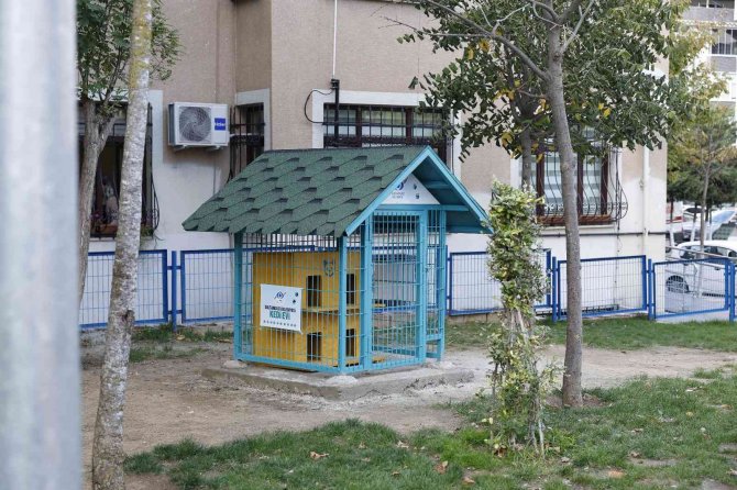 Sultangazi Belediyesi Sokak Hayvanlarına Desteğini Sürdürüyor