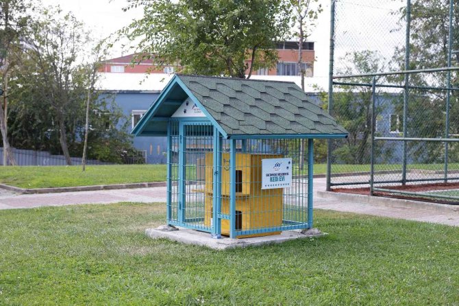 Sultangazi Belediyesi Sokak Hayvanlarına Desteğini Sürdürüyor