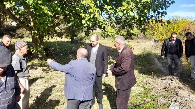 Tosya’daki Bağ Ve Bahçelerde Yaşanan Sorunlar Çözüme Kavuşturuluyor