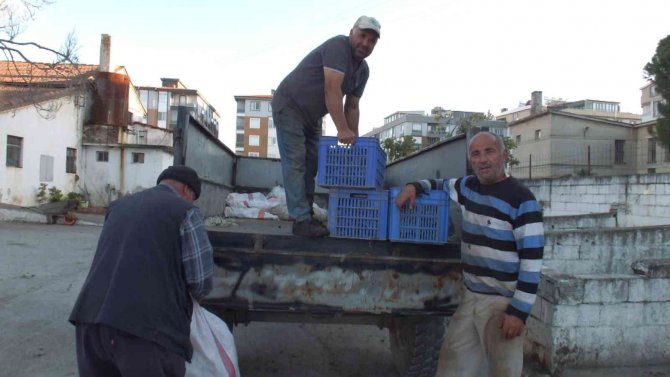 Zeytinyağını Renkli Cam Şişelerde Saklayın