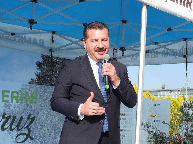 Balıkesir’de Büyükşehir’den Zeytin Üreticilerine Tente Ve Zeytin Kasası Desteği