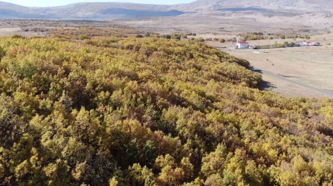 Bingöl’de Sonbahar Güzelliği