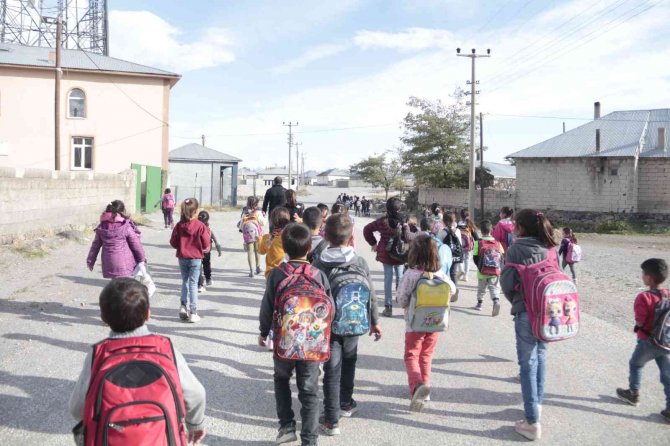 Kuduz Köpeğin Isırdığı Çocuğun Köyünde Başıboş Köpekler Korku Saçıyor