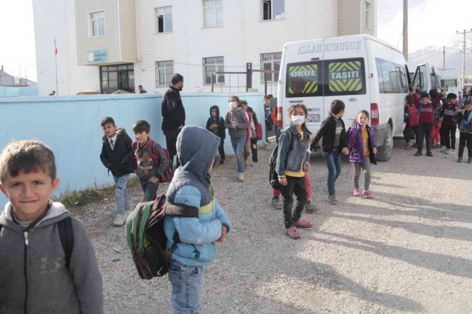 Kuduz Köpeğin Isırdığı Çocuğun Köyünde Başıboş Köpekler Korku Saçıyor