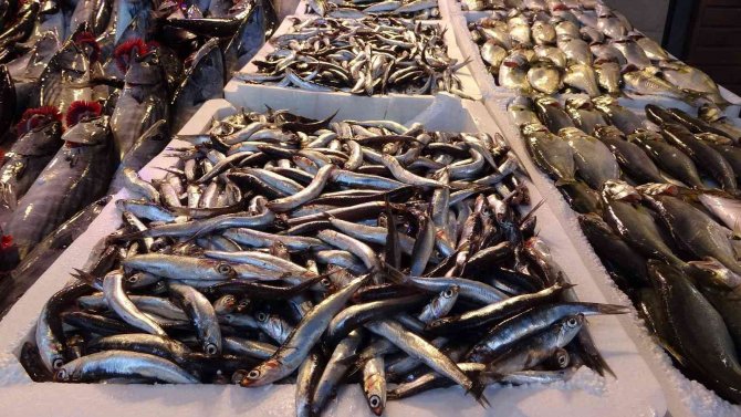 Hamsi İhracatında Geçen Yıla Göre Yarı Yarıya Düşüş