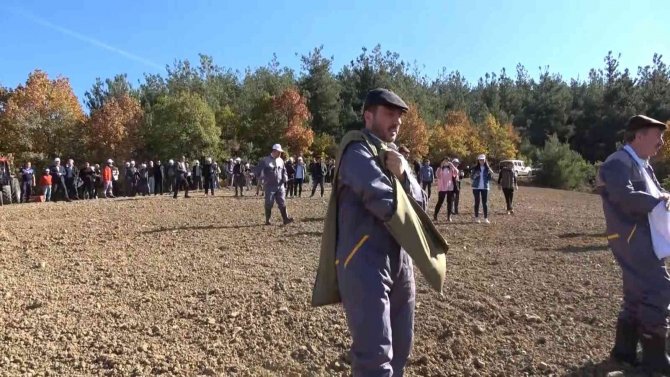 Türkiye’nin En Ucuz Ekmeği Artık Bu Tarladan Çıkacak