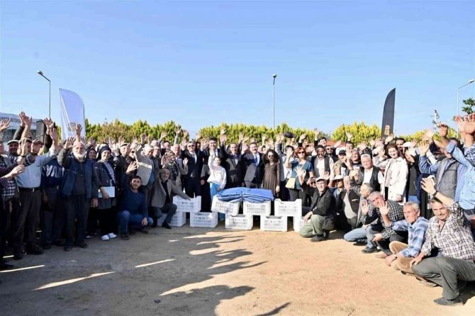 Balıkesir’de Büyükşehir’den Zeytin Üreticilerine Tente Ve Zeytin Kasası Desteği