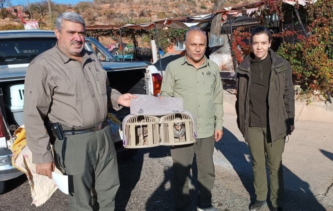 Kafes Avcılarına Göz Açtırılmıyor