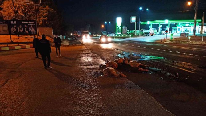 Otomobil Koyun Sürüsüne Daldı