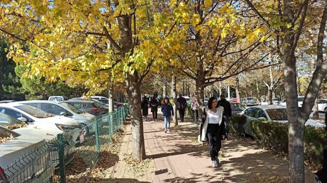 Esogü’den Hayran Bırakan Sonbahar Manzaraları