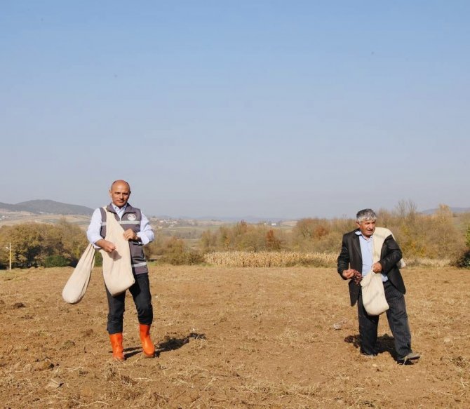 Körfezli Çiftçilere 37 Ton Tohum Dağıtıldı