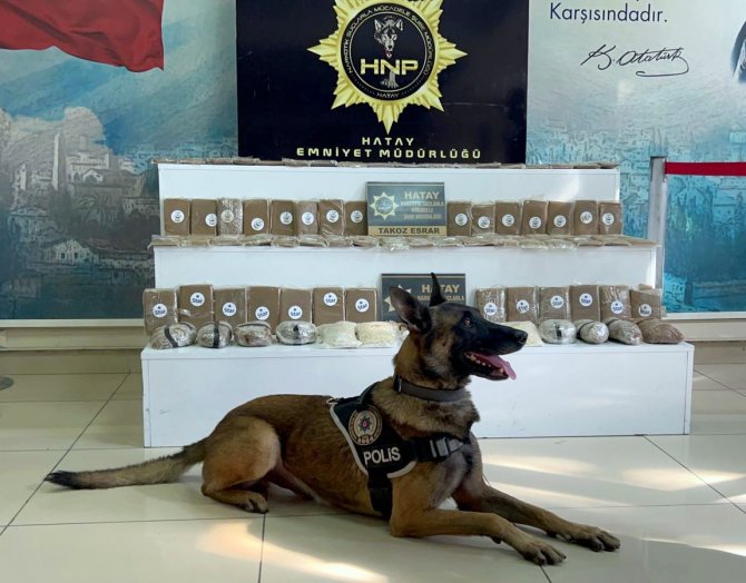 Hatay’da 19 Bin 740 Uyuşturucu Hap Ve 17 Kilo 770 Gram Esrar Ele Geçirildi