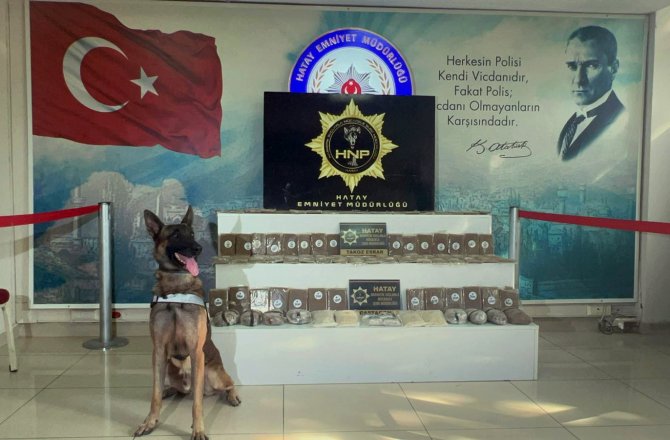 Hatay’da 19 Bin 740 Uyuşturucu Hap Ve 17 Kilo 770 Gram Esrar Ele Geçirildi
