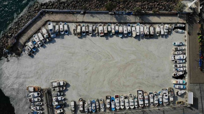 Hava Sıcaklıkların Bu Şekilde Gitmesiyle Birlikte Tekrar Müsilaj Görülebilir
