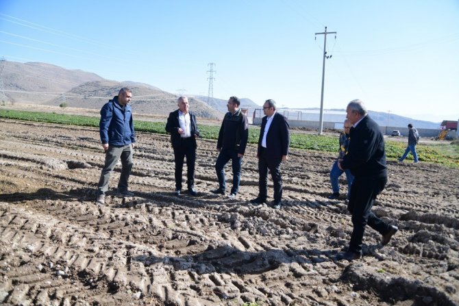 Çilekte Marka Şehir Kayseri