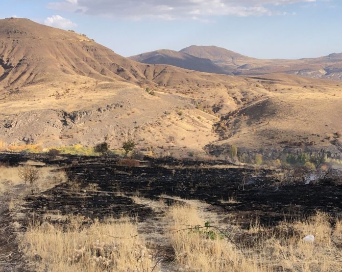 Hekimhan’da Arazi Yangını: 8 Dönüm Zarar Gördü
