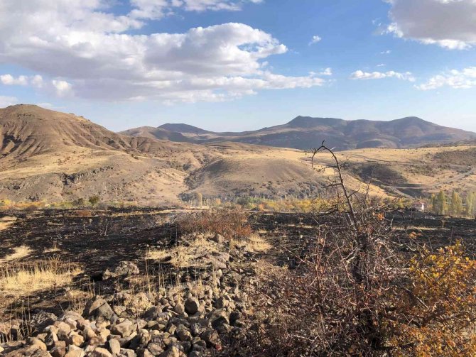 Hekimhan’da Arazi Yangını: 8 Dönüm Zarar Gördü