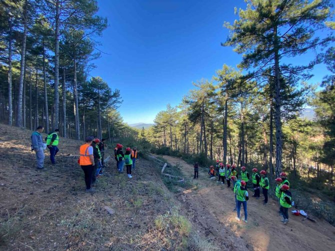 Kavaklıdere’de Ormancılık Bölümü Öğrencilerine Arazide Eğitim Verildi