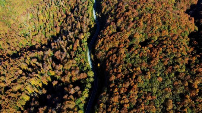 Çam Dağı’nın Hayran Bırakan Sonbahar Manzarası
