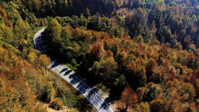 Çam Dağı’nın Hayran Bırakan Sonbahar Manzarası