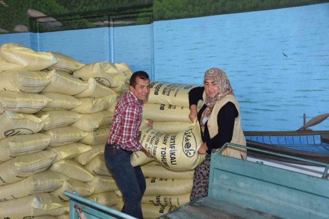 Pazarlar’da 125 Çiftçiye Sertifikalı 20 Ton Buğday Ve 20 Ton Arpa Tohumu Dağıtıldı