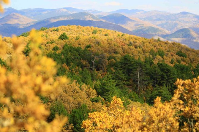 Soğuksu Milli Parkı’nda Masalsı Sonbahar Manzarası