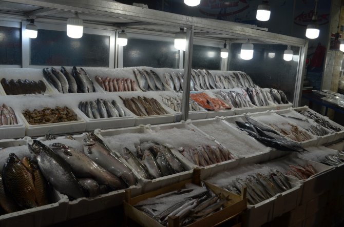 Balık Tezgahlarında Palamut Bolluğu