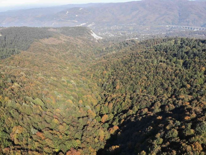 Düzce’de Sonbahar Güzelliği
