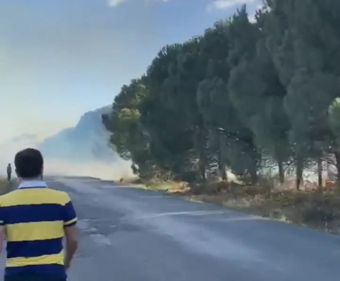 Ormanlık Alanda Çıkan Yangın Korkuttu
