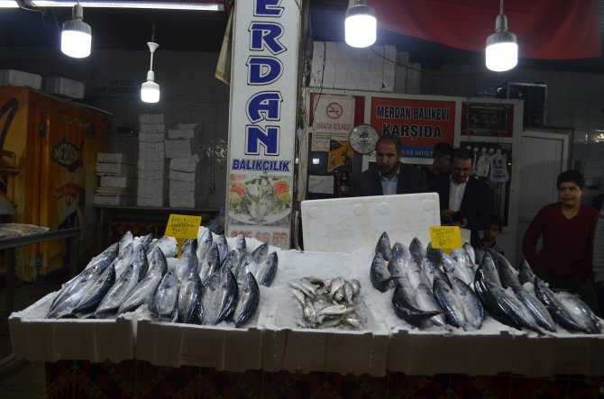 Balık Tezgahlarında Palamut Bolluğu