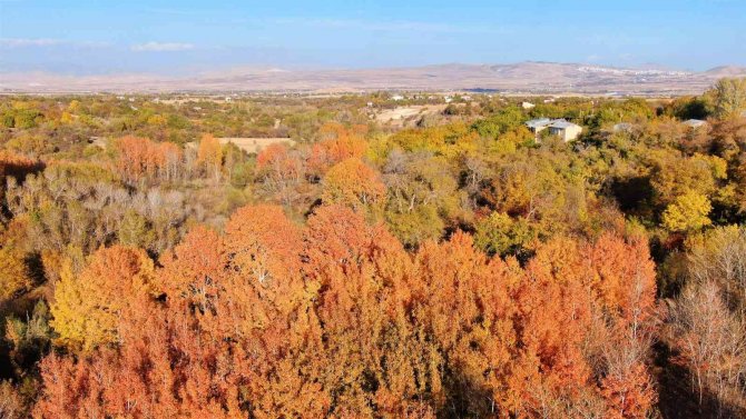 Elazığ’da Sonbahar Güzelliği