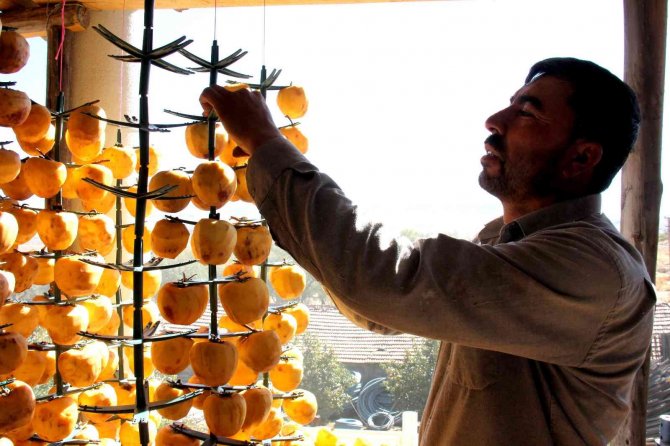 İ̇plere Dizilen Altın Sarısı Hurmaların "Kuruyemiş" Yolculuğu Başladı