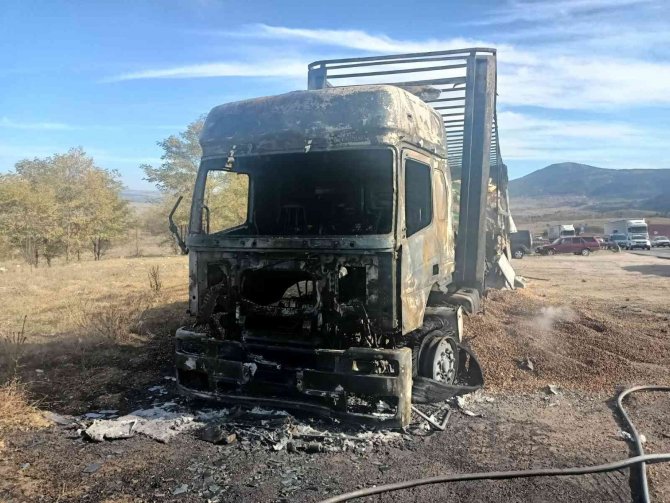 Fındık Yüklü Tır Alevlere Teslim Oldu