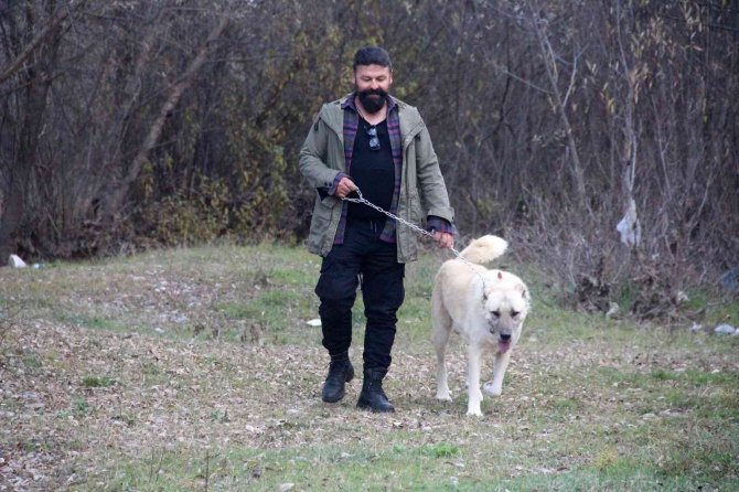 Anadolu Aslanlarıyla Terapi Niteliğinde Doğa Gezisi