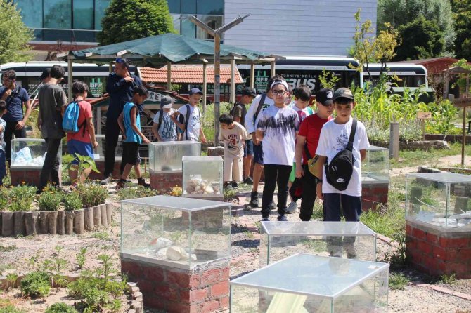 Yeryüzü Ekoloji Okulu Çok Sevildi