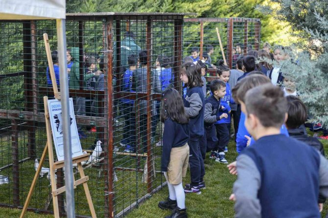 Başkentin 5 Beyazı Öğrencilere Tanıtılıyor