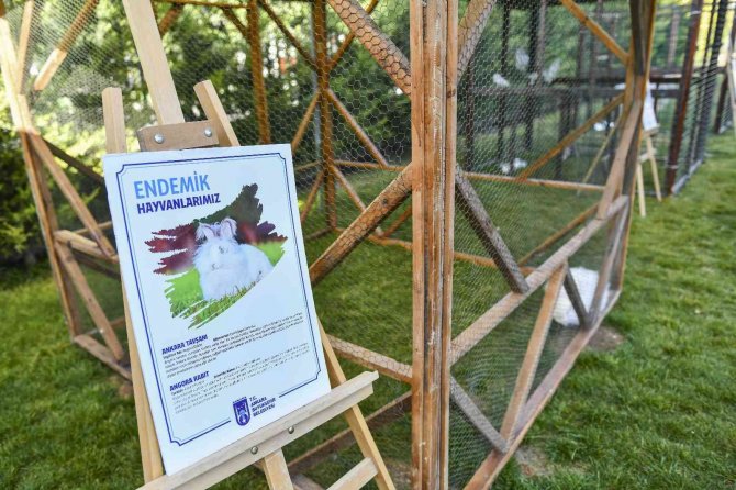 Başkentin 5 Beyazı Öğrencilere Tanıtılıyor