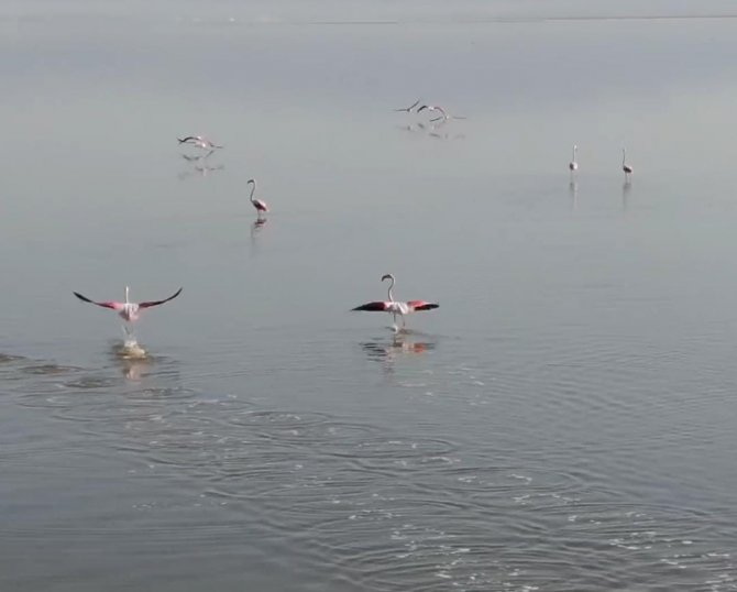 Acıgöl’ün Sahipleri Böyle Görüntülendi